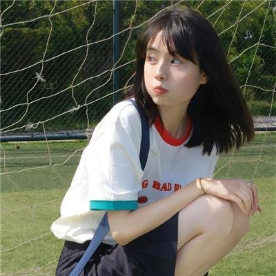 狮子护卫队第二季